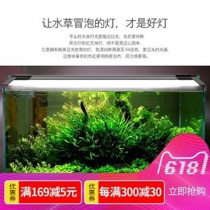 養龍魚燈需要一直開嗎（養龍魚的燈光并不需要一直開著，取決于幾個關鍵因素）