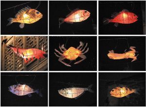 養龍魚燈需要一直開嗎（養龍魚的燈光并不需要一直開著，取決于幾個關鍵因素）