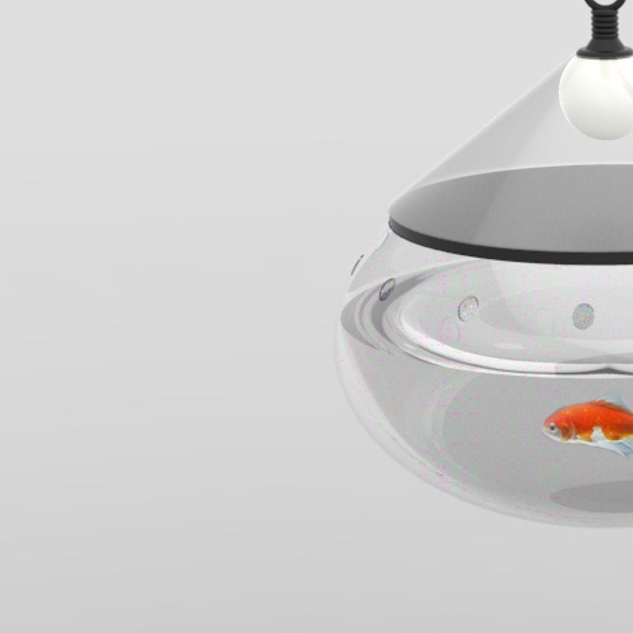 養龍魚燈需要一直開嗎（養龍魚的燈光并不需要一直開著，取決于幾個關鍵因素）