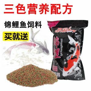 小龍魚吃什么飼料好吃：小龍魚吃什么飼料好吃什么飼料好吃什么飼料好吃