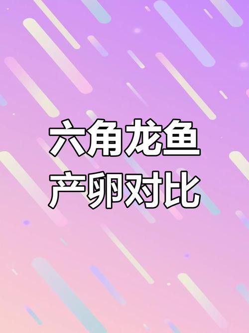 虎斑恐龍魚繁殖方法和技巧圖片大全