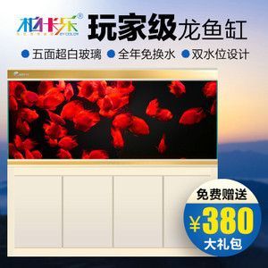 龍魚缸水位多少合適呢：夏季龍魚缸水位調整技巧，冬季龍魚缸尺寸與活動空間關系