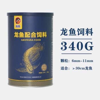 龍魚上浮食物是什么樣的：龍魚上浮食物的特性及其飼養(yǎng)要點