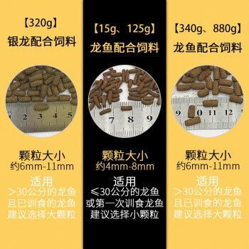 龍魚上浮食物是什么樣的：龍魚上浮食物的特性及其飼養(yǎng)要點