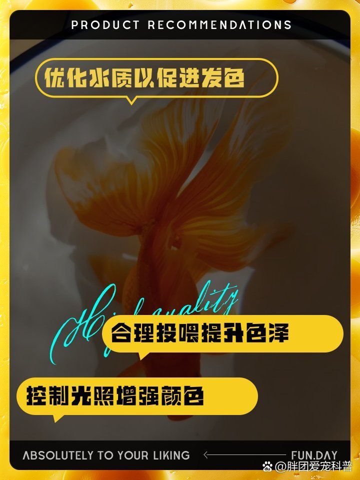 金魚增紅的最好方法