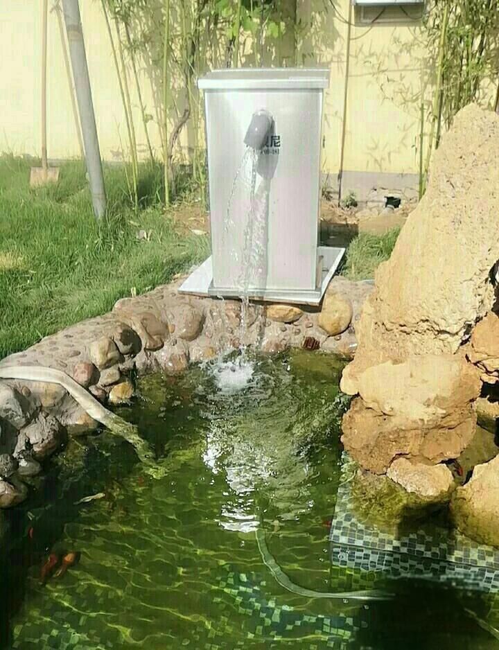 金魚增紅的最好方法