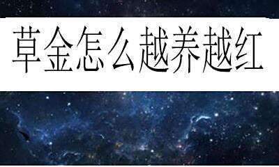 金魚增紅的最好方法