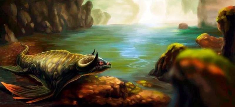 龍魚的祖先是誰？：從化石記錄和生物學分類上講，龍魚的祖先是誰