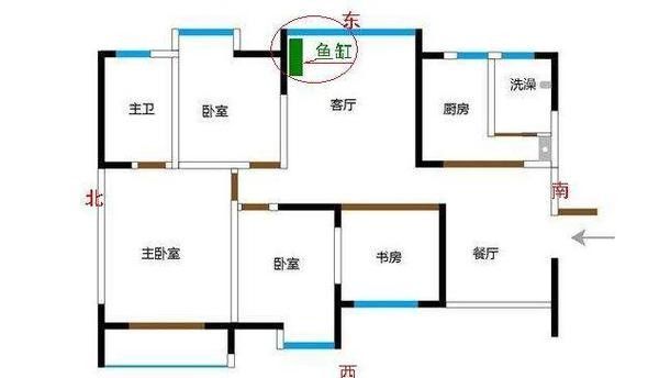 龍魚(yú)風(fēng)水講究圖解