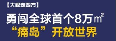 金龍羽有哪些主要競爭對手？