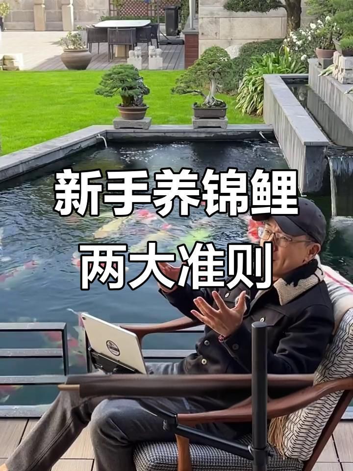 錦鯉怎么選才是好魚