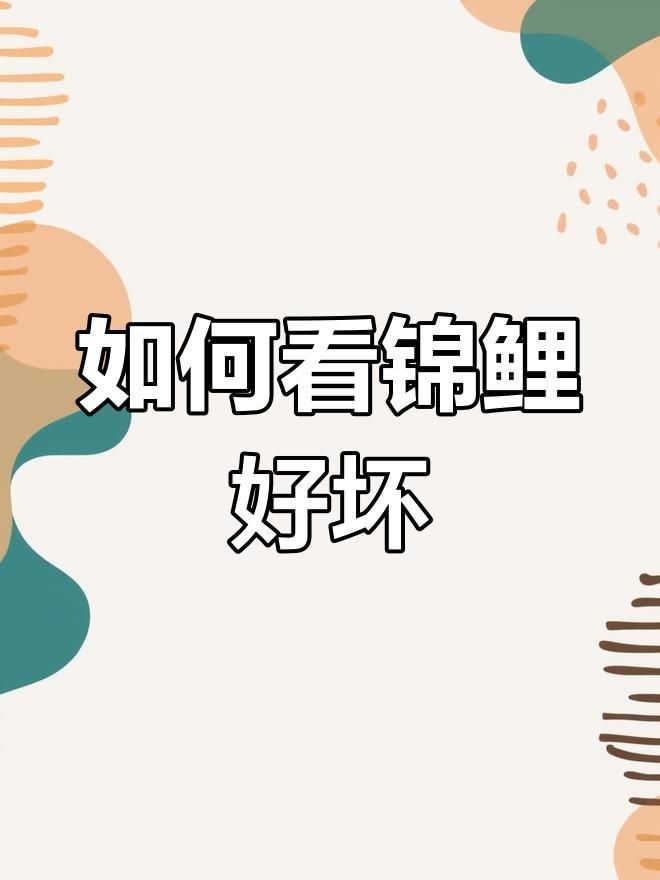 錦鯉怎么選才是好魚