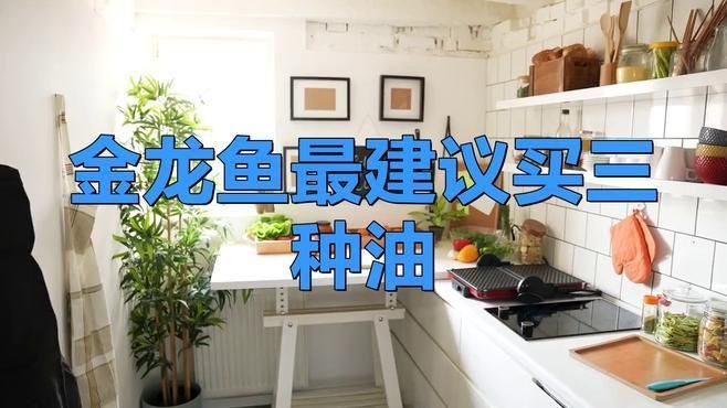 金龍魚最建議買三種油