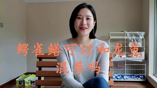 尖嘴鱷可以和龍魚一起養嗎？