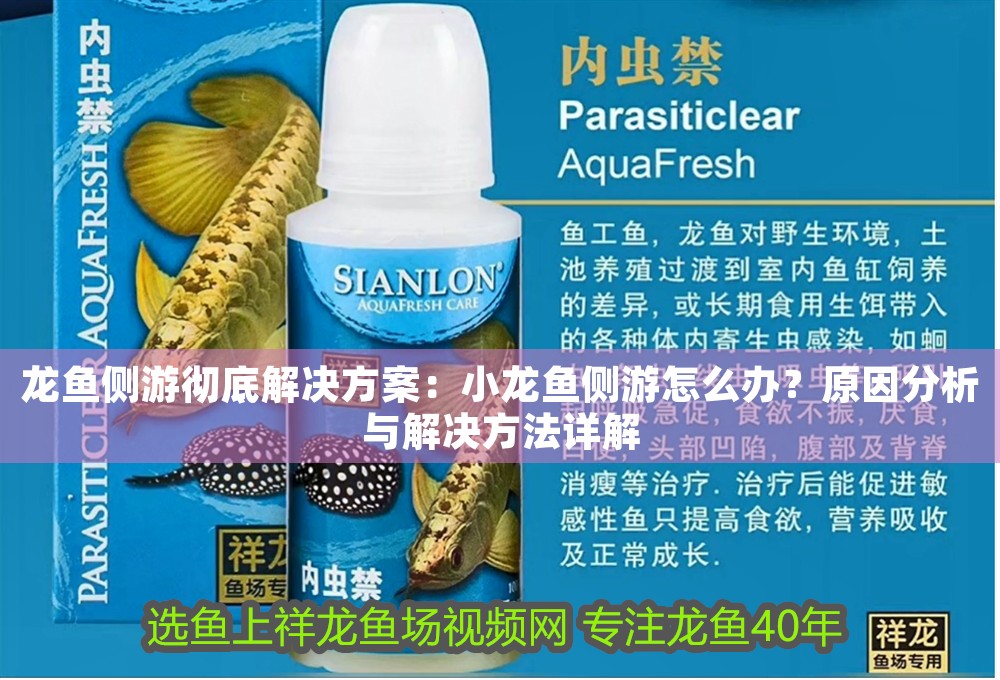 龍魚側游徹底解決方案：小龍魚側游怎么辦？原因分析與解決方法詳解
