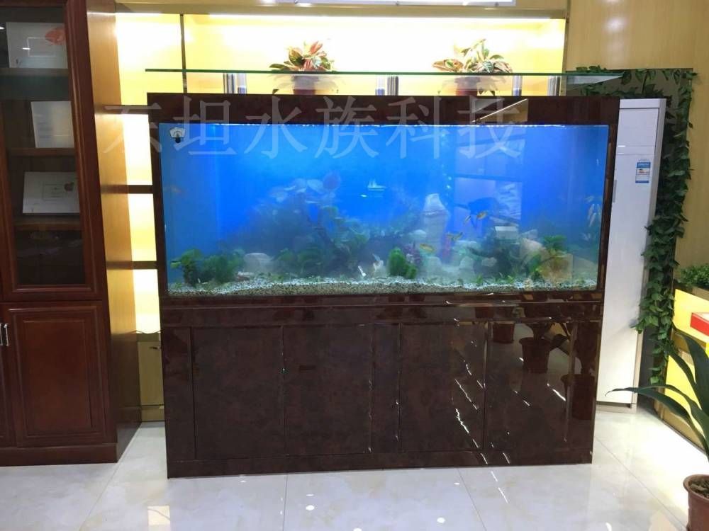 廣州魚缸批發v祥龍魚場（廣州魚缸定做-祥龍魚場）