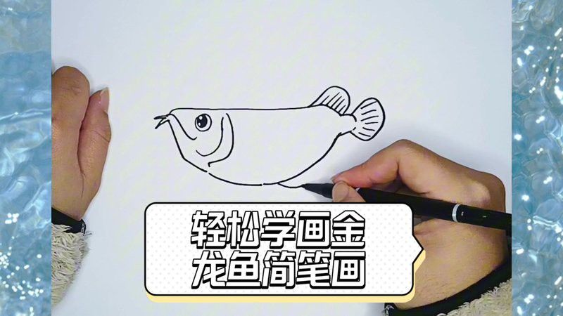 金龍魚卡通畫
