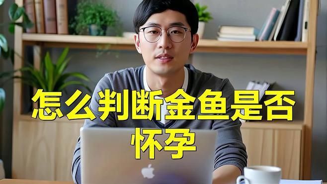 如何判斷金魚是否懷卵成功？