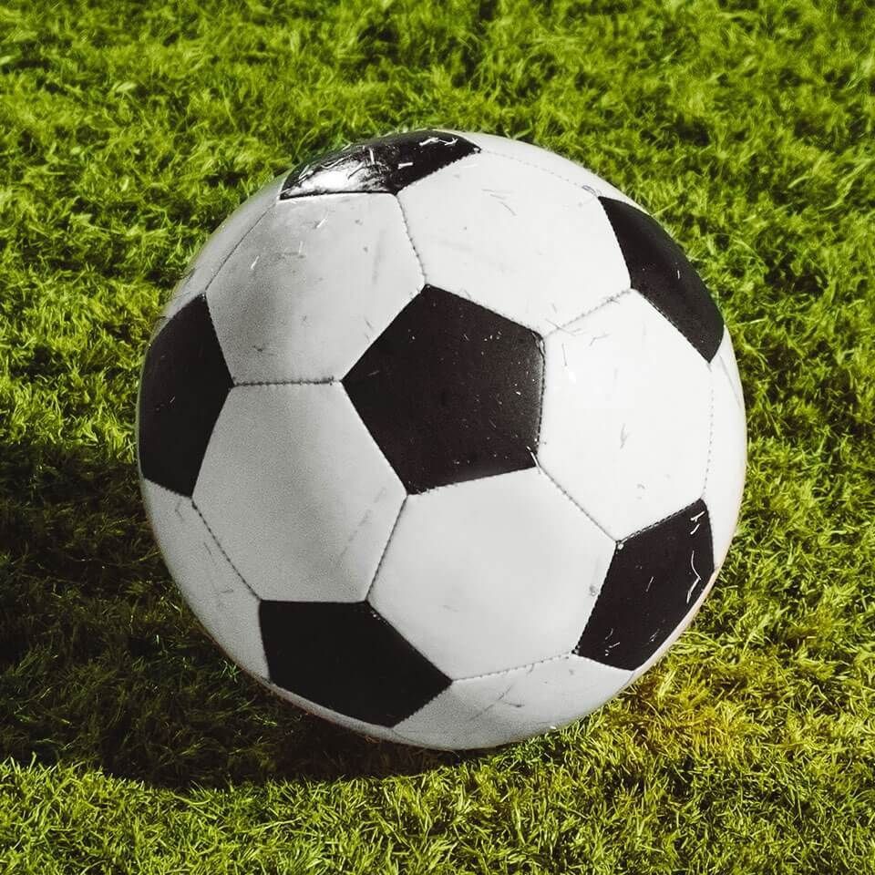 錦鯉掉色了變白了怎么辦