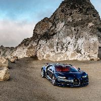 錦鯉掉色了變白了怎么辦