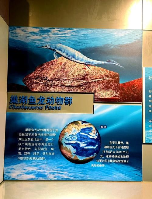 巢湖龍魚化石圖片高清大圖