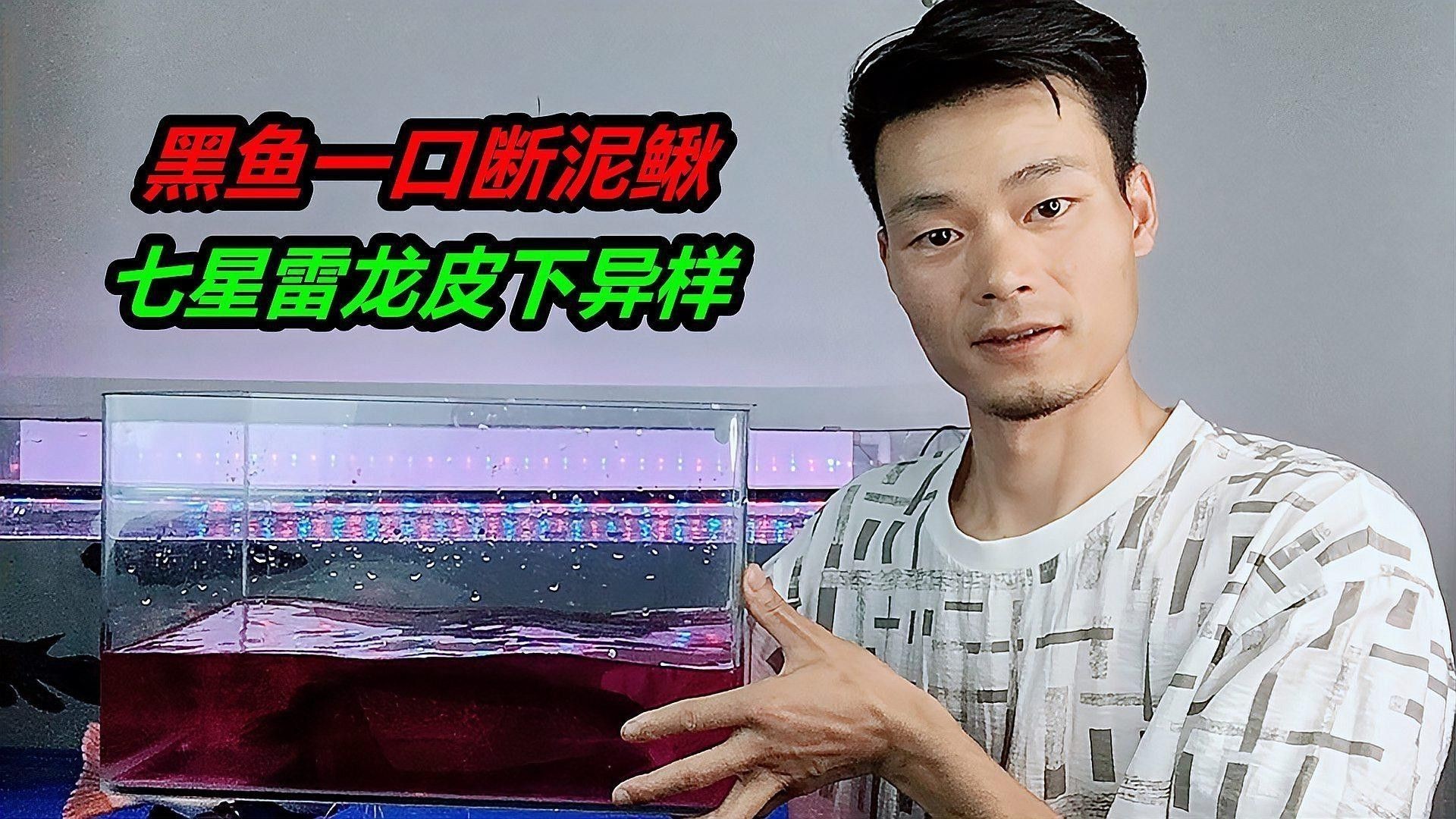 如何安全地給雷龍魚換水？