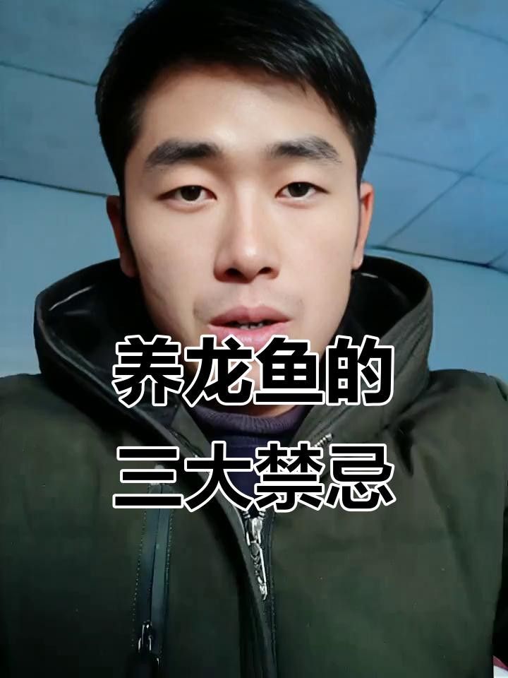 龍魚染色后多久可以喂食？
