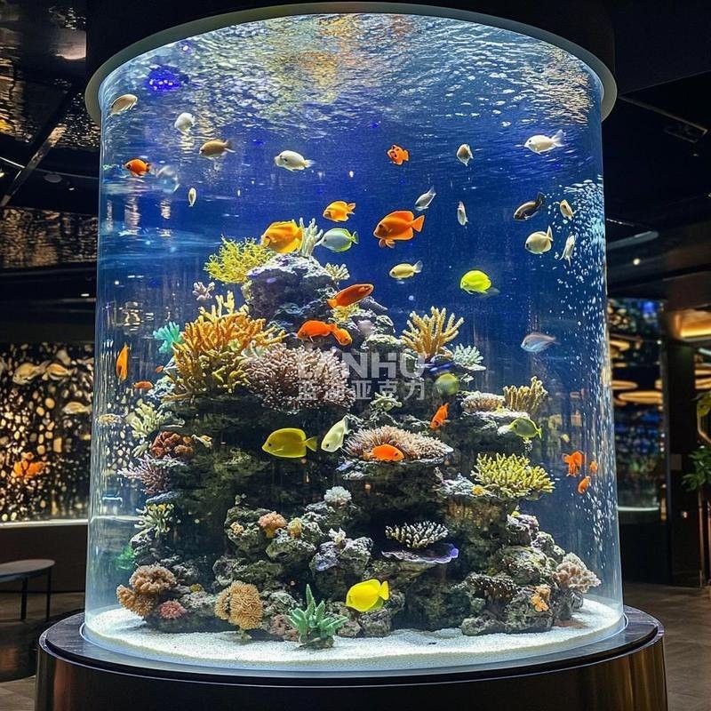 專業玩家如何調整龍魚缸的水位？