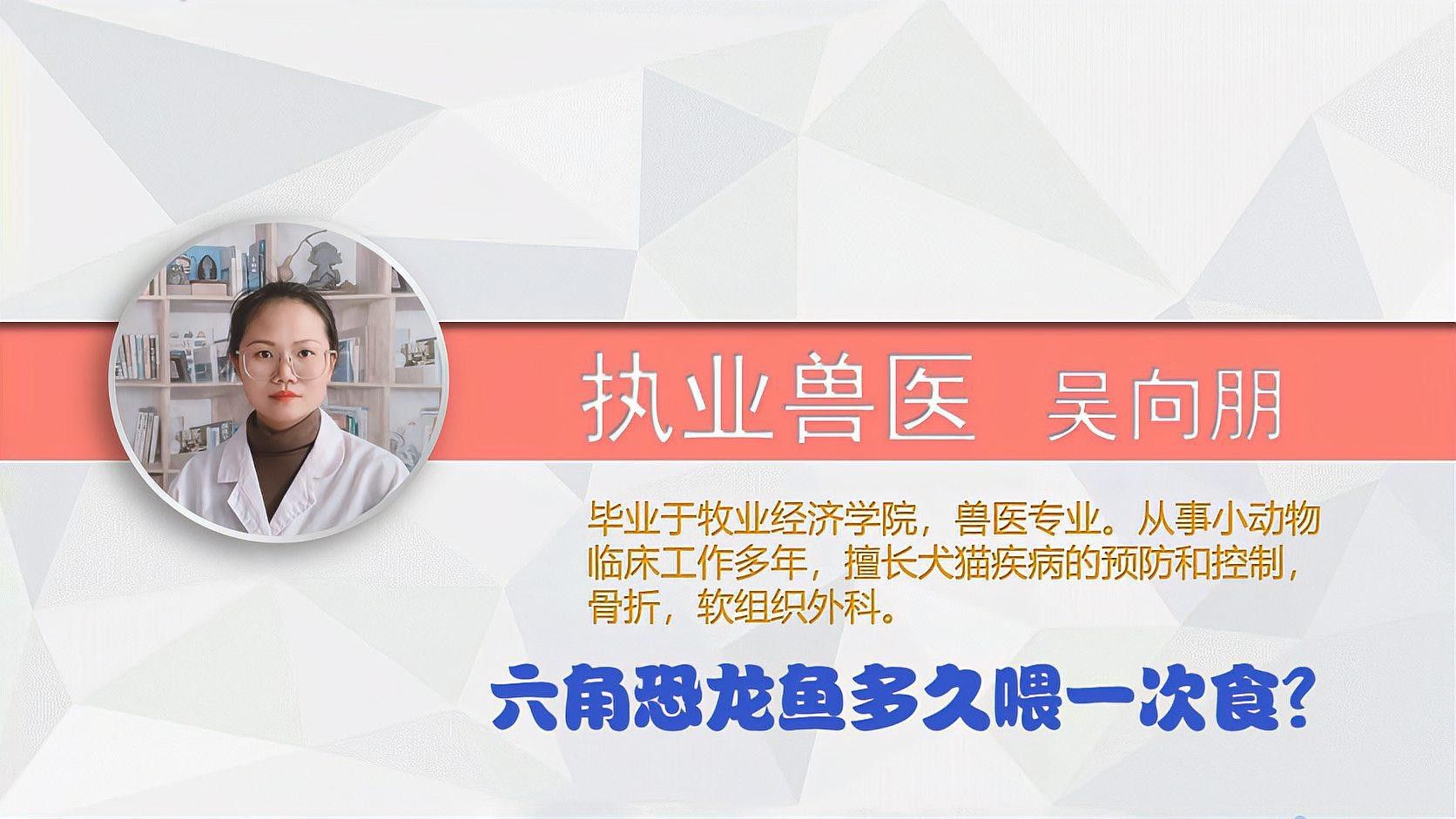 六角龍魚多久喂一次魚食比較好