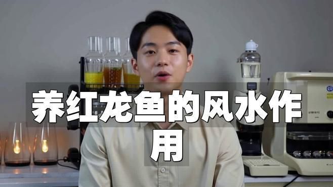請(qǐng)?jiān)敿?xì)說(shuō)說(shuō)紅龍魚的招財(cái)特性