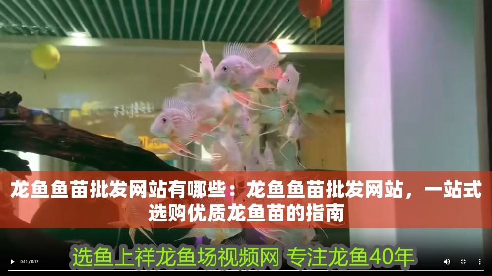 龍魚魚苗批發(fā)網(wǎng)站有哪些：龍魚魚苗批發(fā)網(wǎng)站，一站式選購優(yōu)質(zhì)龍魚苗的指南
