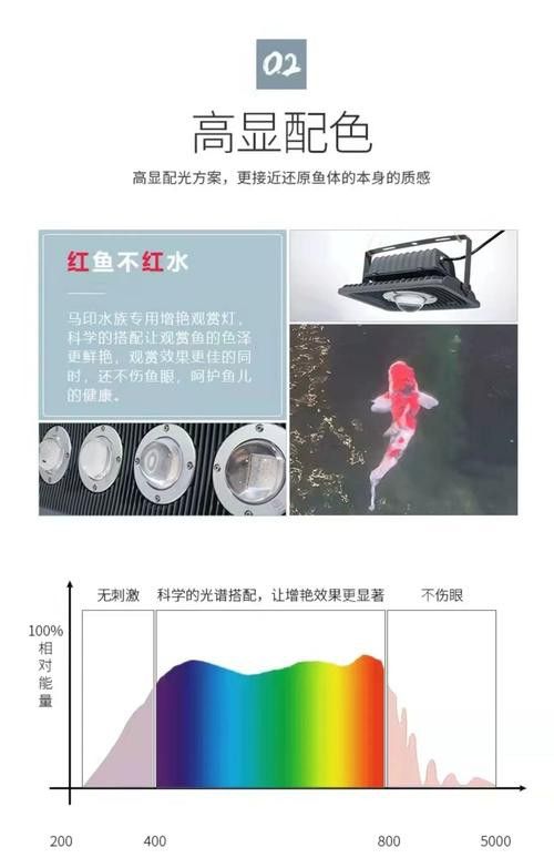 如何設置金龍魚燈的光照周期？