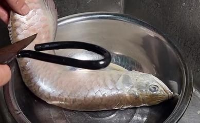 冬天怎么給龍魚換水呢：冬天給龍魚換水的一些方法和注意事項