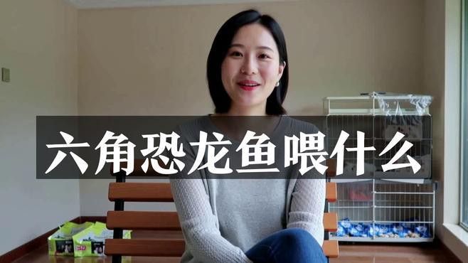 恐龍魚要吃什么飼料好