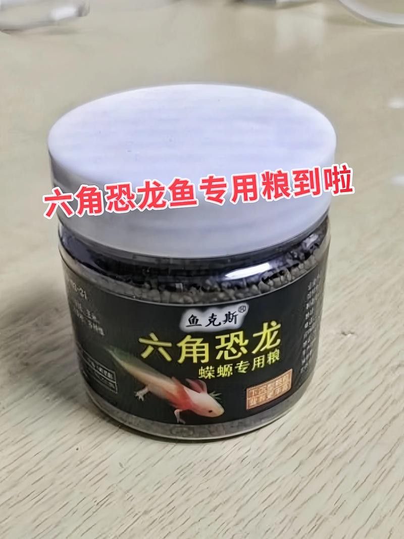 恐龍魚要吃什么飼料好