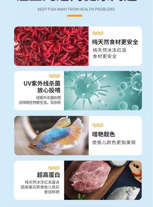 恐龍魚要吃什么飼料好