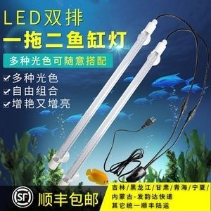 龍魚增色用什么燈好呢視頻：龍魚增色使用led燈或植物生長燈或植物生長燈