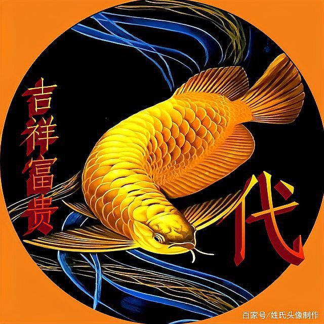 能推薦一些高清金龍頭像嗎？