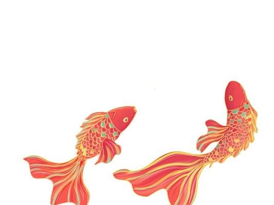 龍魚圖片大全圖片高清壁紙可愛卡通版