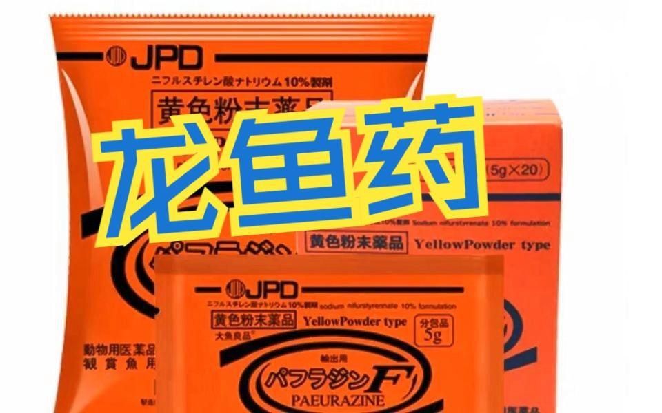 龍魚生病了哪種藥最好