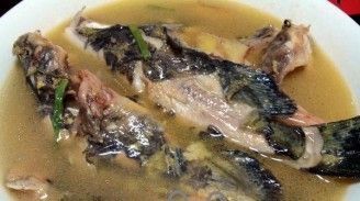 龍魚(yú)怎么發(fā)色才好看：如何幫助龍魚(yú)發(fā)色