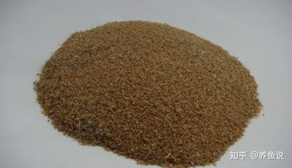 龍魚爛尾巴可以高錳酸鉀嗎：如何使用高錳酸鉀治療龍魚爛尾巴