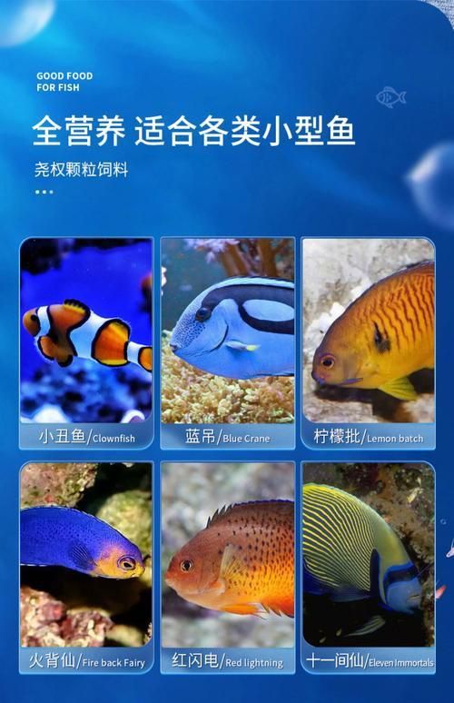 賽級藍底最簡單三個魚