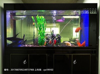龍魚閣魚缸廠家地址：龍魚閣魚缸廠家地址探討龍魚閣魚缸廠家的詳細(xì)地址