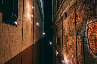 龍魚(yú)為什么要烤燈（龍魚(yú)烤燈對(duì)于人工飼養(yǎng)的龍魚(yú)來(lái)說(shuō)是非常重要的）