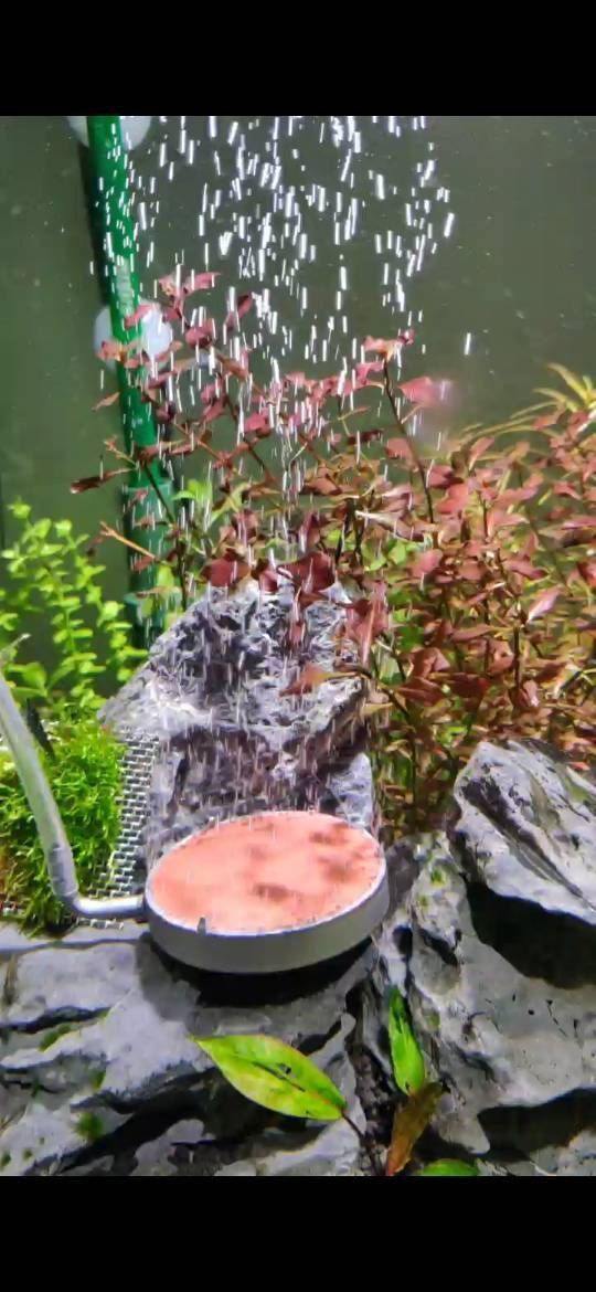 老漁匠氧氣泵是雜牌子嗎知乎