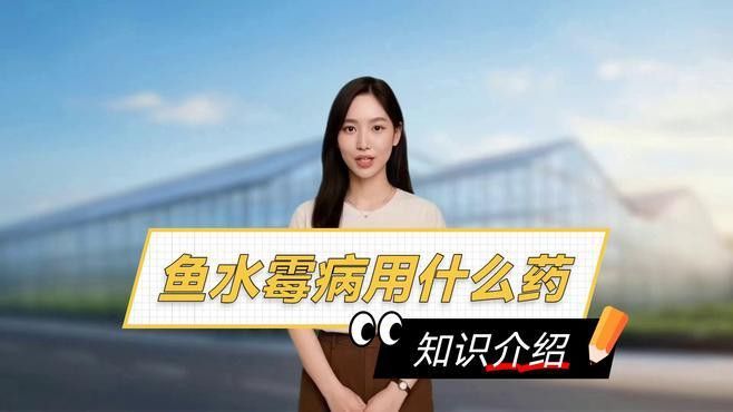 有哪些品牌治療水霉病的藥物