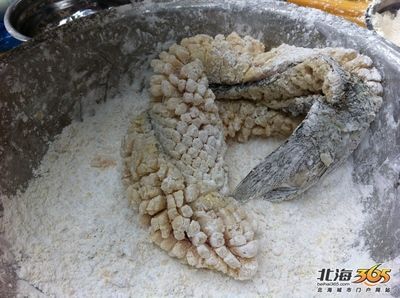 飛龍魚的照片：關于飛龍魚照片的不同類型及其來源網站進行查找和下載
