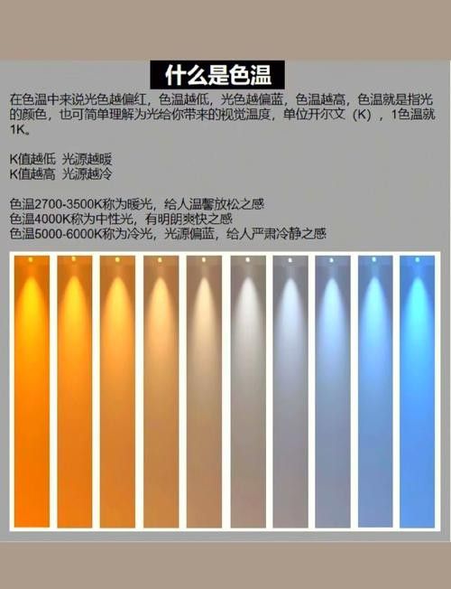養龍魚用什么燈管比較好