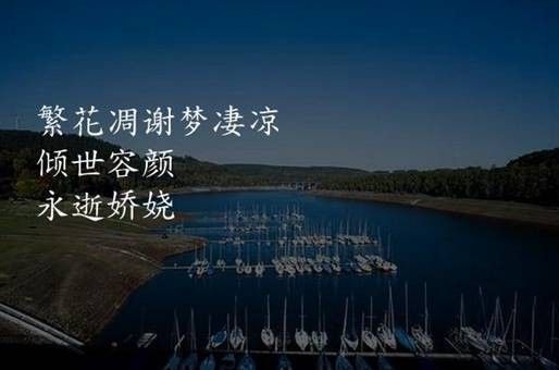 龍魚修尾巴怎么修好